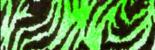 20518.png